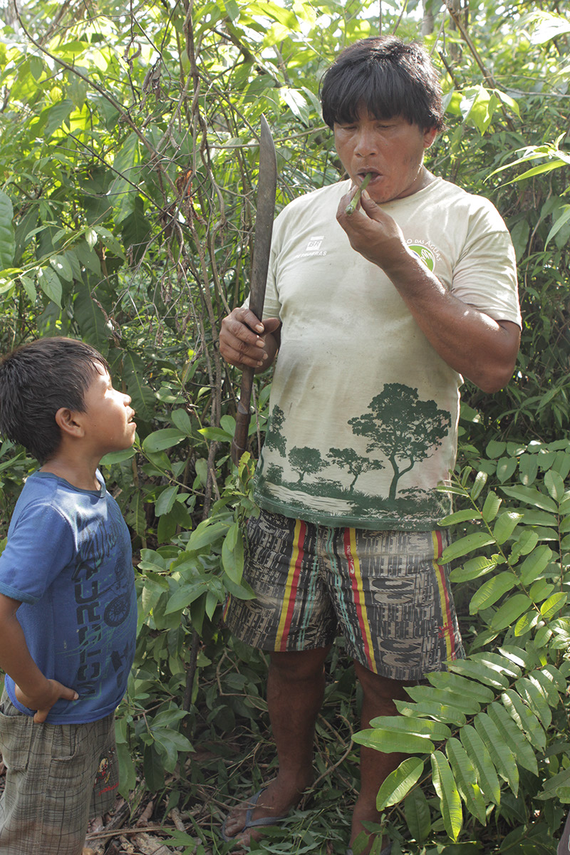 Pião de tucumã ou de cabaça - Território do Brincar