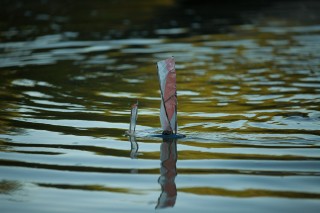Foto ilustrando um barco a vela de brinquedo em um lago.
